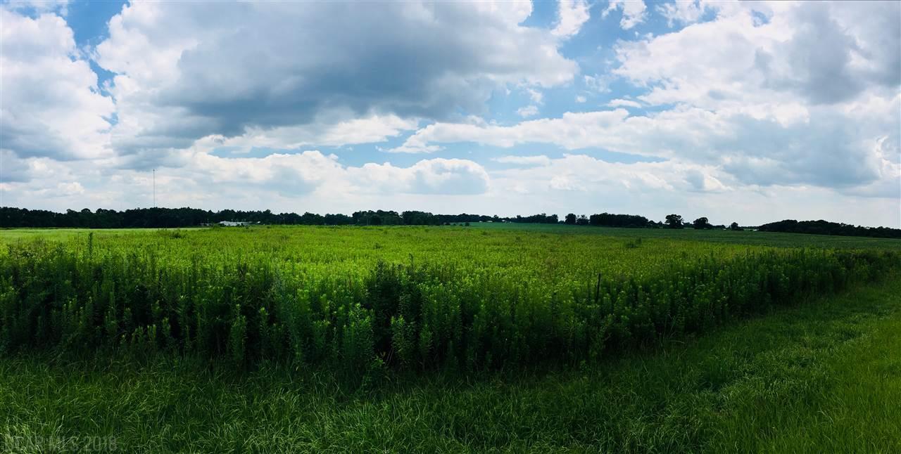 0 County Road 68 - Photo 1