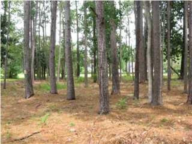 3905 St. Andrews Dr - Photo 1 3905 St. Andrews Dr - Photo 1