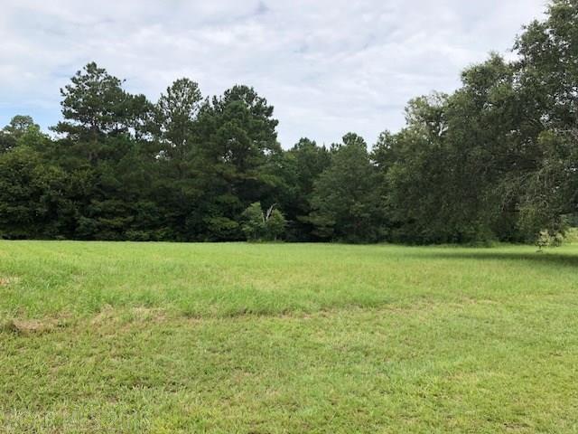 0 Balsam Creek Drive - Photo 1