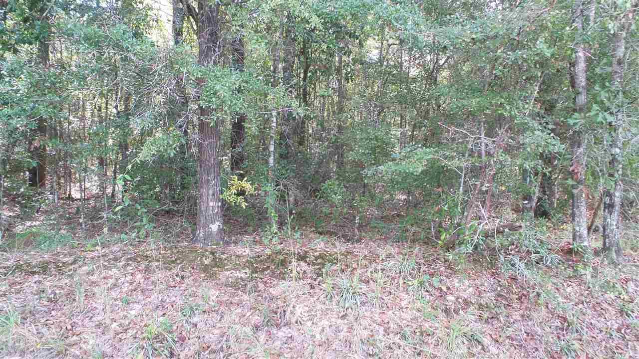 0 Old Weekley Rd - Photo 1