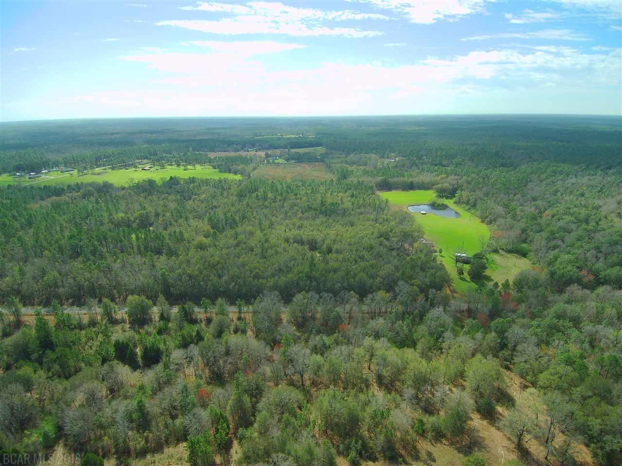 0 Old Weekley Rd - Photo 1