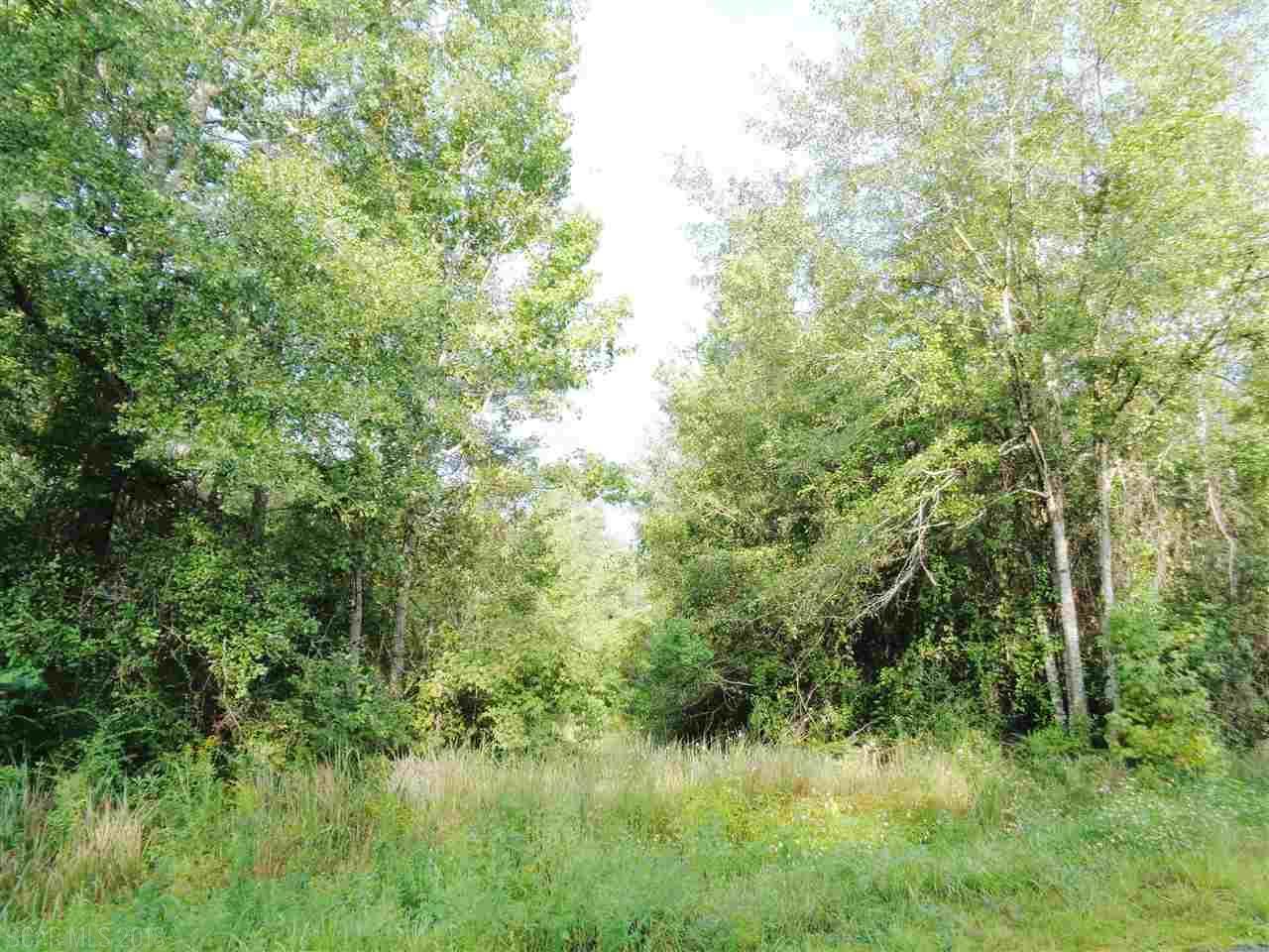 0 Macks Road - Photo 1