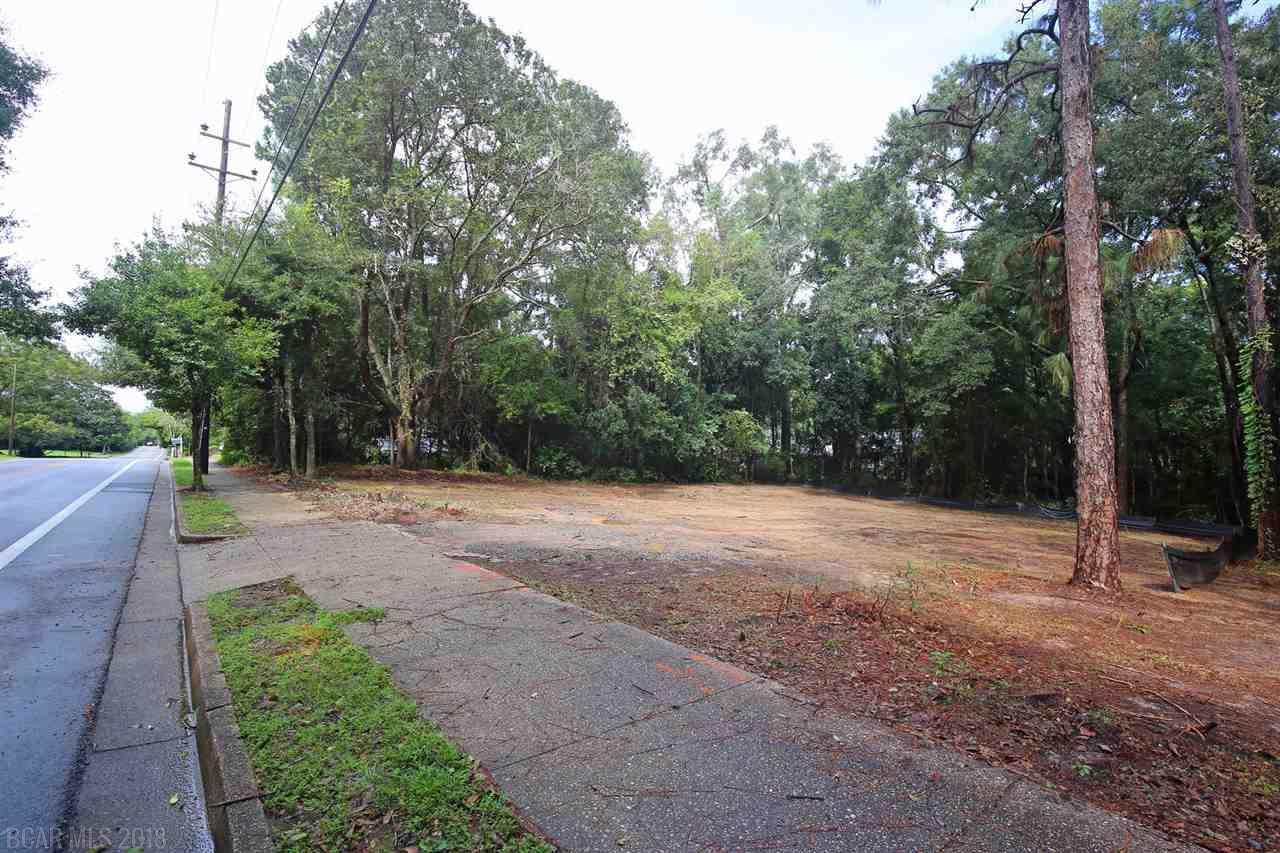 657 Morphy Avenue - Photo 1