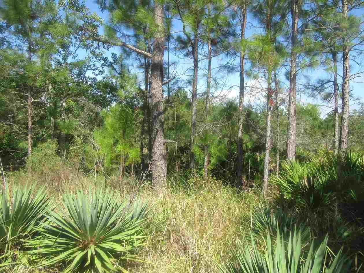 0 Dolphin Lane - Photo 1