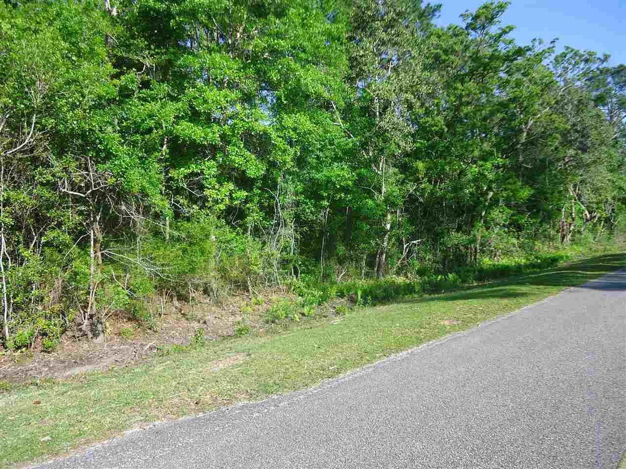 0 Hammock Road - Photo 1