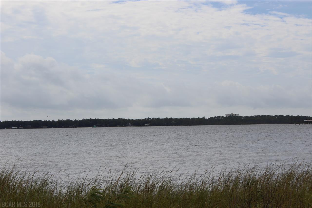 0 Hopetown Lane - Photo 1
