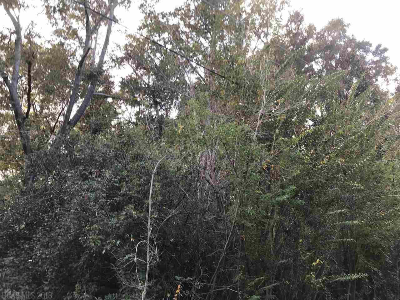 0 Foreman Road - Photo 1