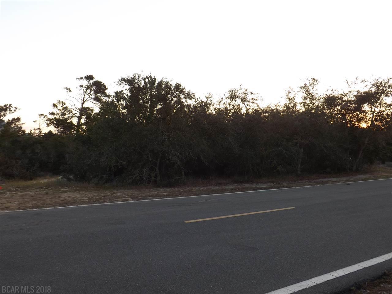 lot 85 Dolphin Drive - Photo 1
