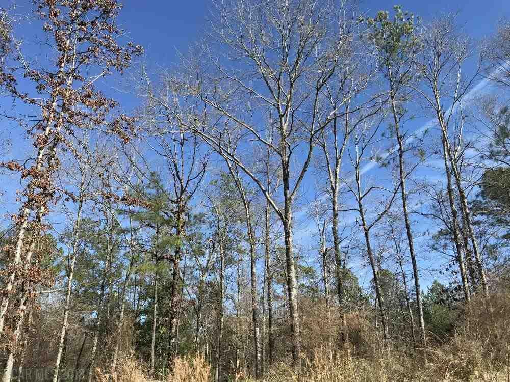 0 Gulf Crest Road - Photo 1