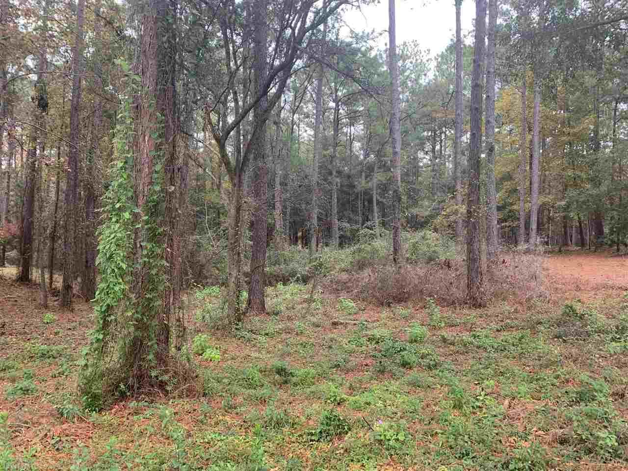 0 Saluda Blvd - Photo 1