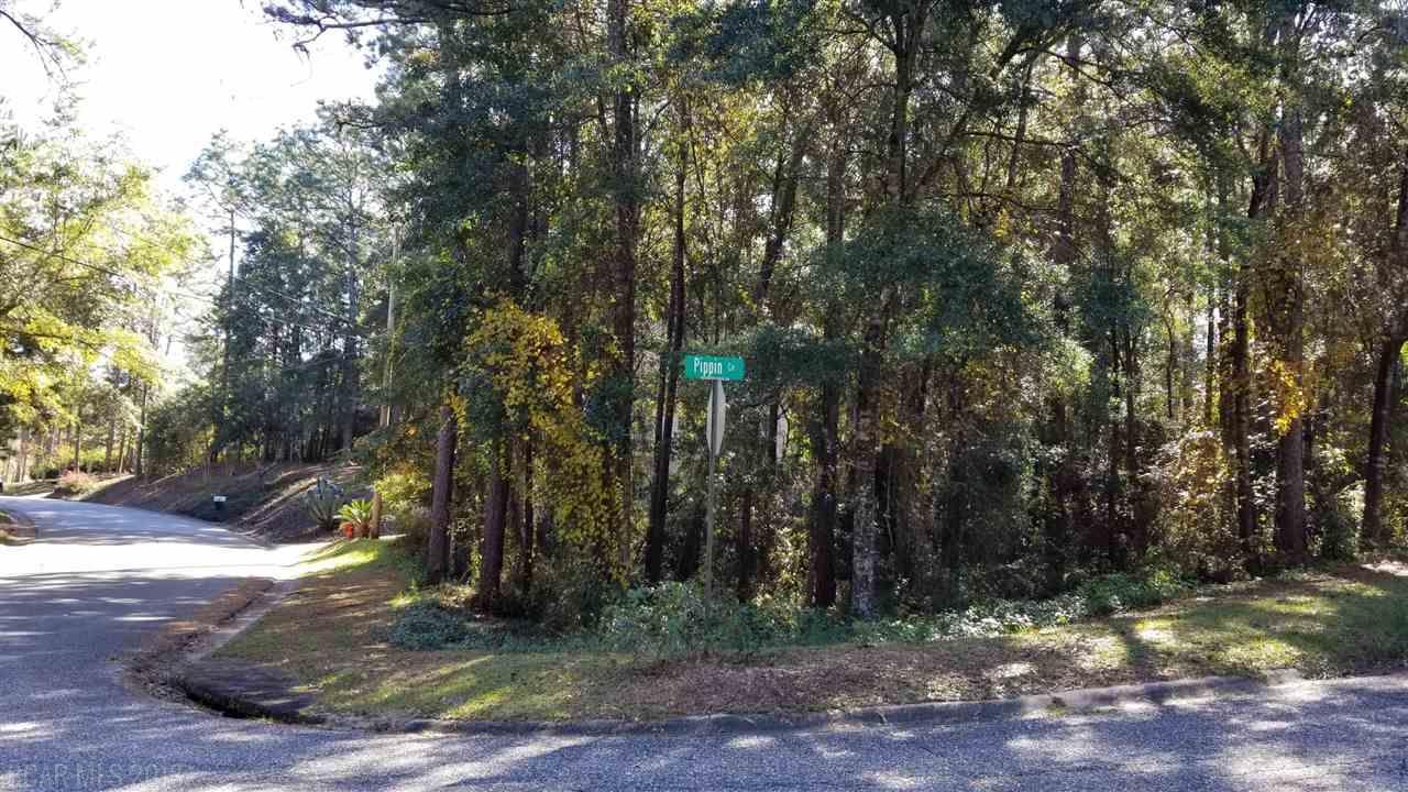 101 Pippin Cir - Photo 1