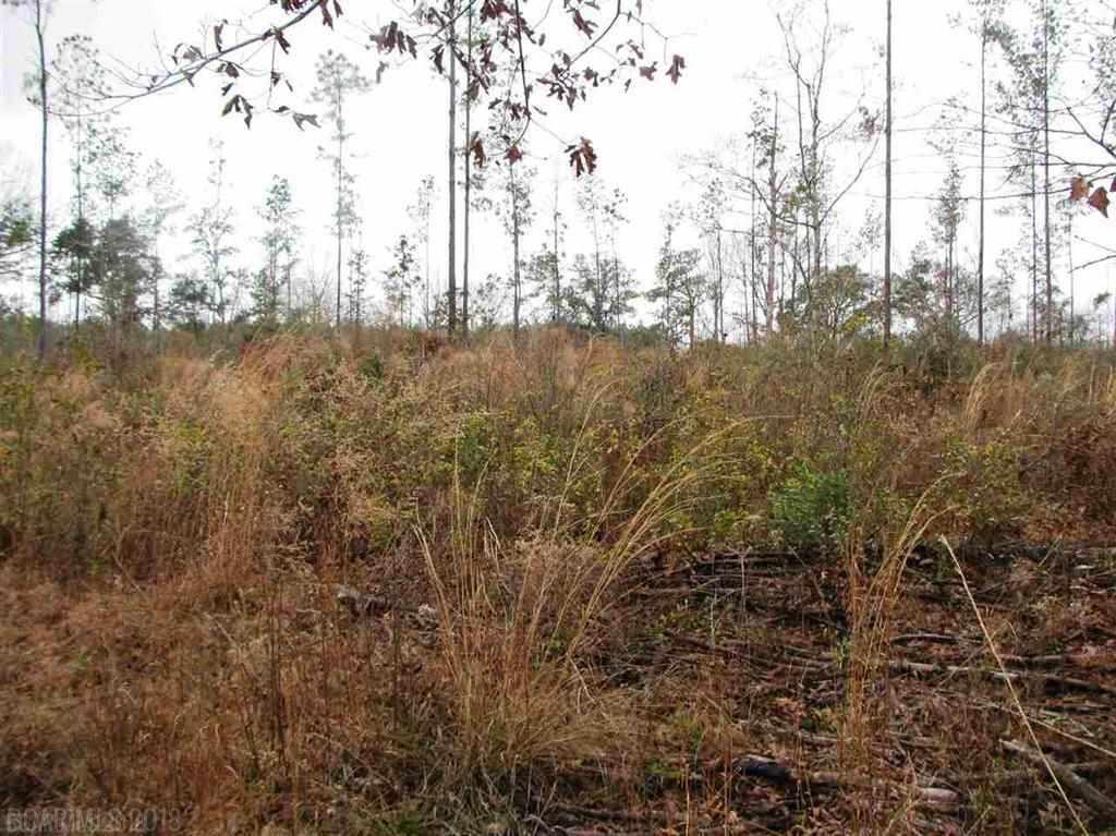 Lot 6 County Road 64 - Photo 1
