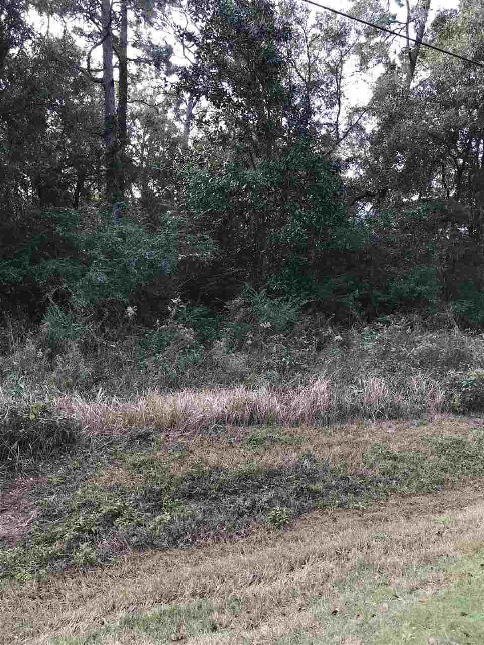 23020 Us Highway 98 - Photo 1