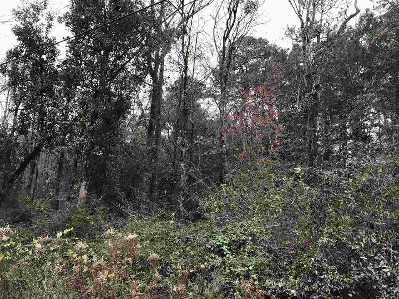 312 Ridgewood Drive - Photo 1
