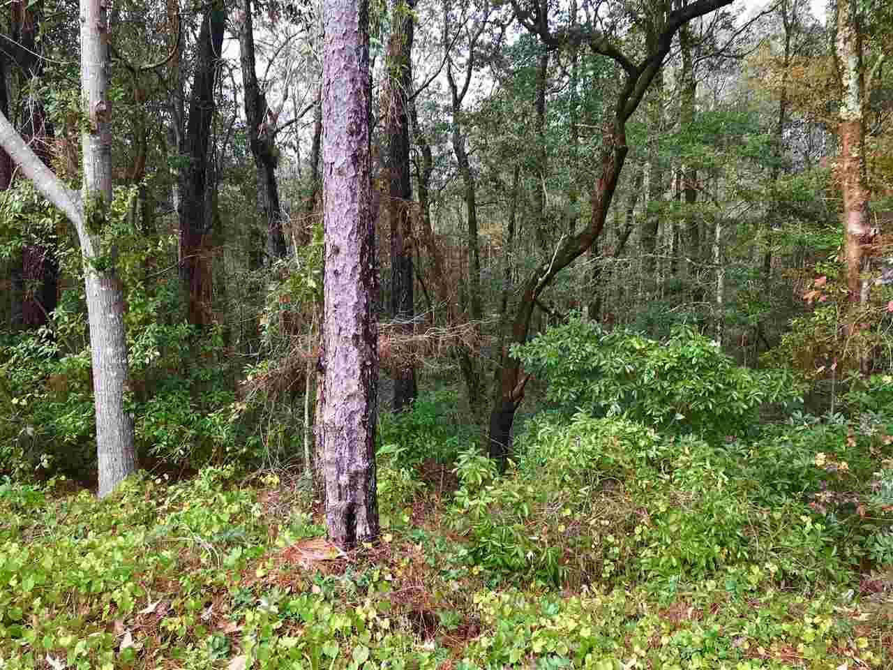 139 Montclair Loop - Photo 1