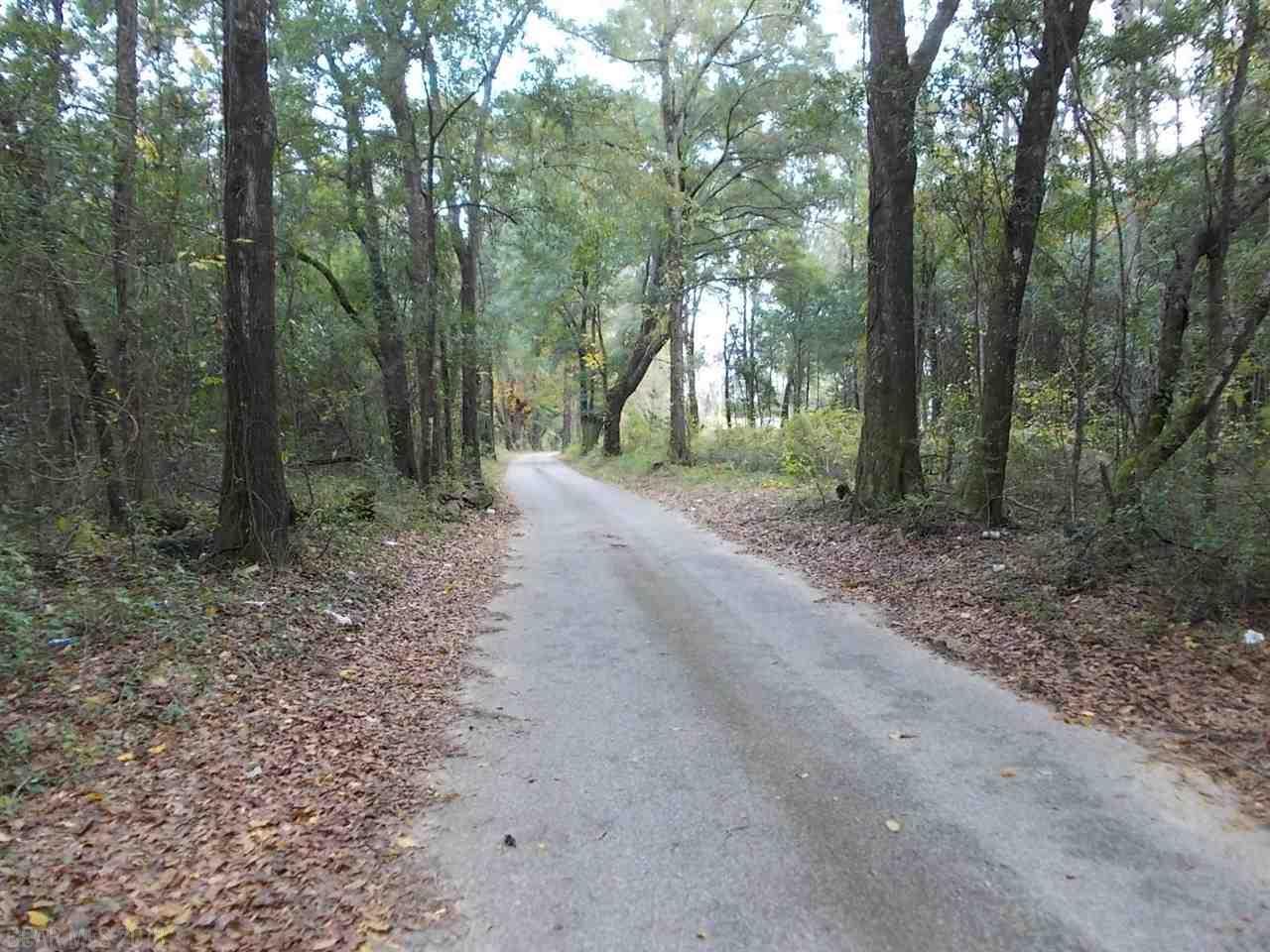 0 Center Road - Photo 1