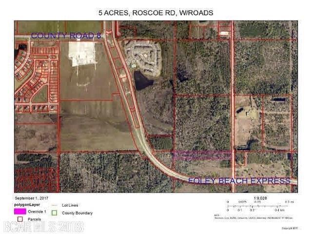 0 Roscoe Rd - Photo 1