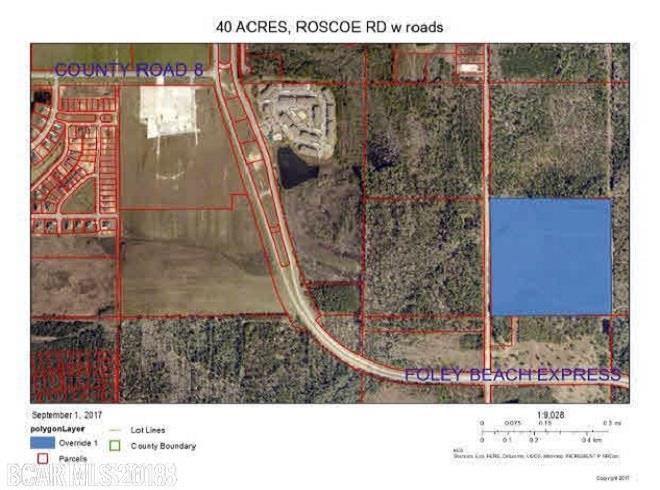 6684 Roscoe Rd - Photo 1