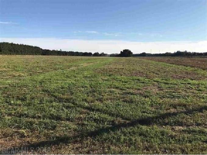 20382 Engel Rd - Photo 1