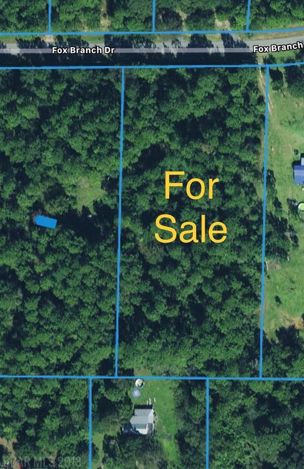 0 Fox Branch Dr - Photo 1