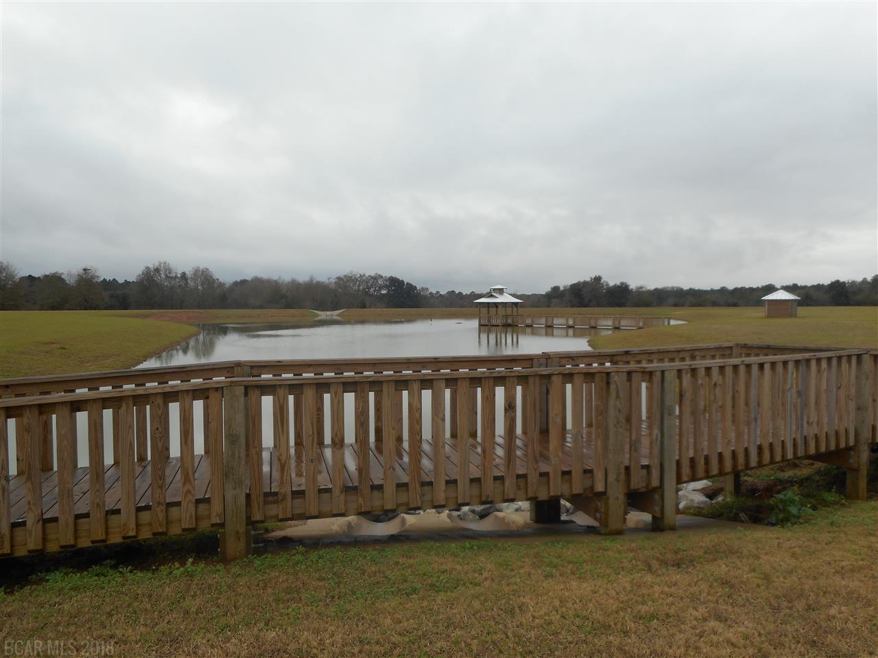 0 Dressage Way - Photo 1