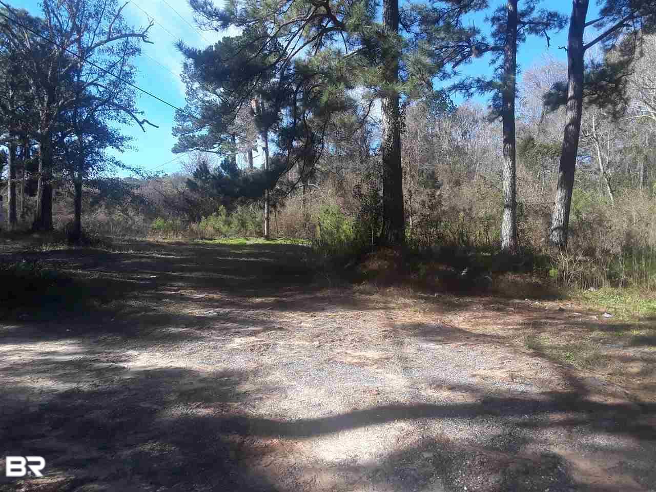 0 Vodie Watts Road - Photo 1