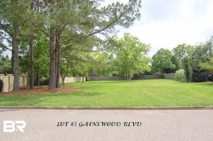 0 Gaineswood Blvd - Photo 1