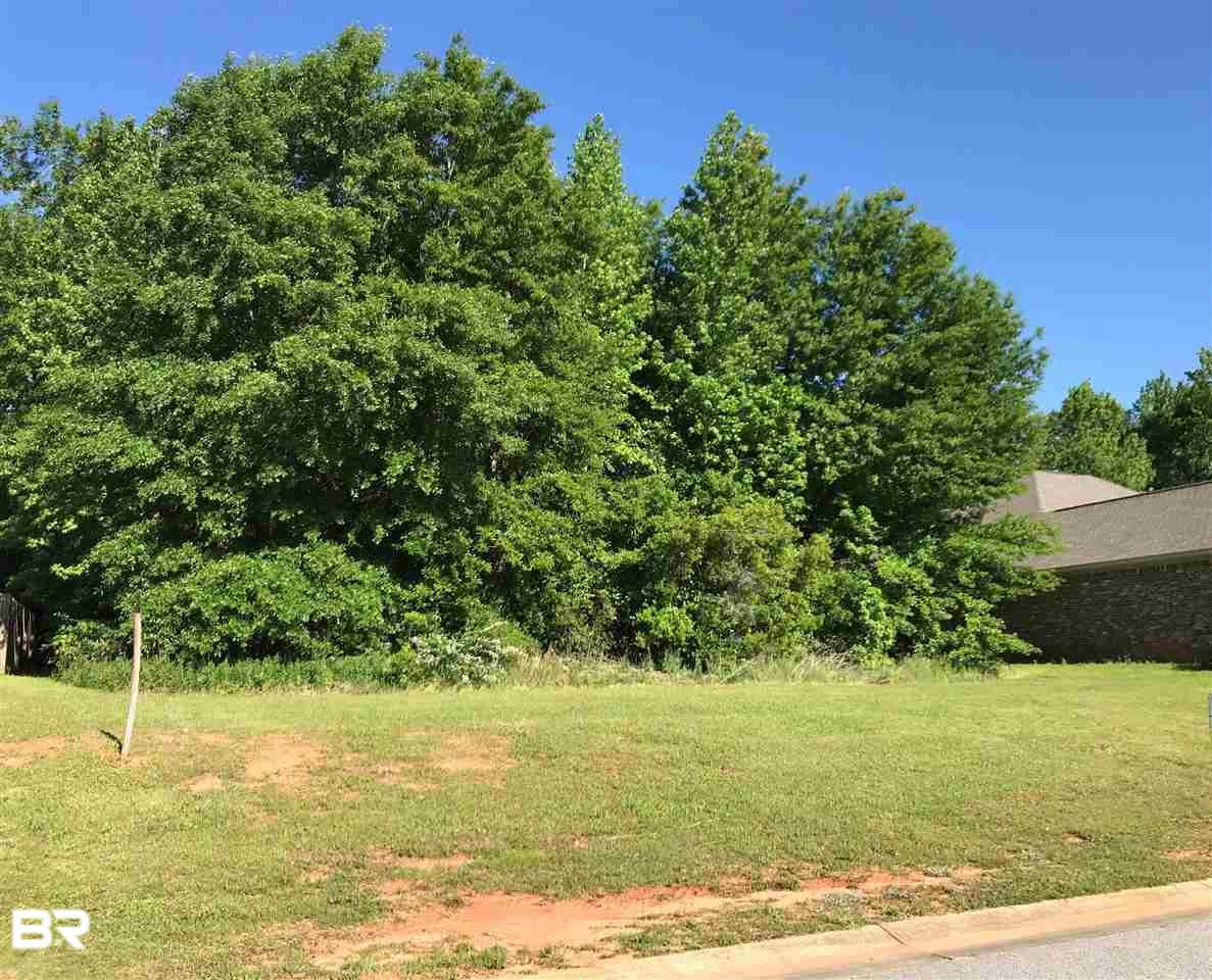 31178 Buckingham Blvd - Photo 1