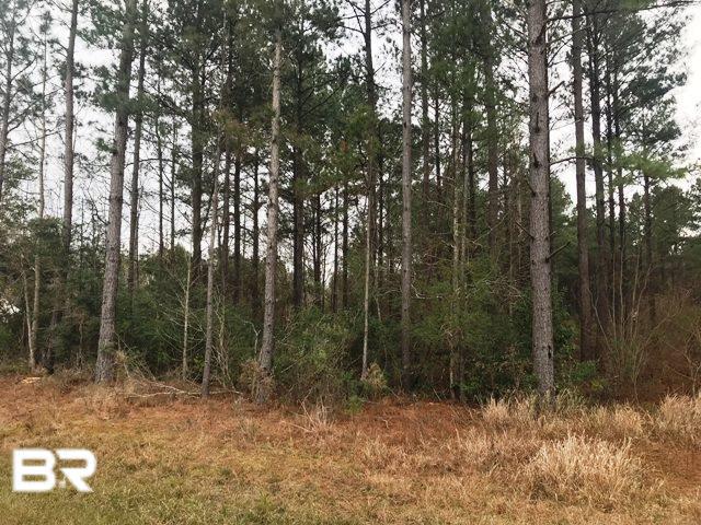 61180 Milstead Road - Photo 1 61180 Milstead Road - Photo 1