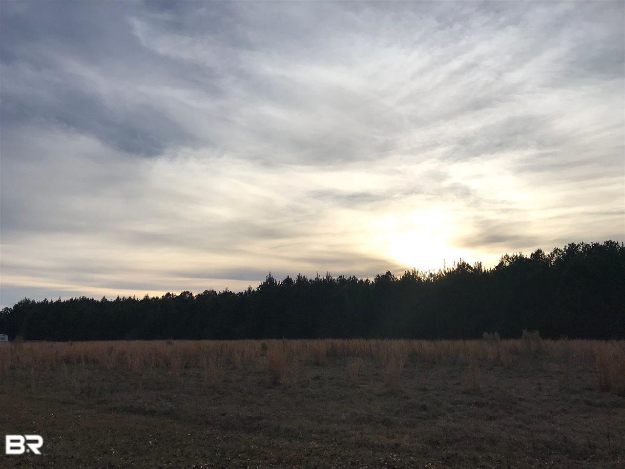 0 Auburn Lane - Photo 1