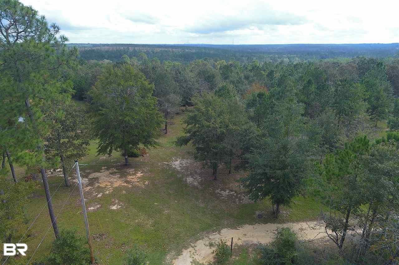 12772 Tanner Lane - Photo 1