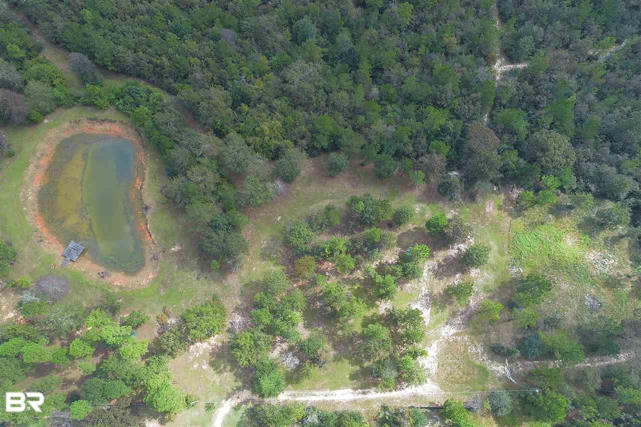 12773 Tanner Lane - Photo 1