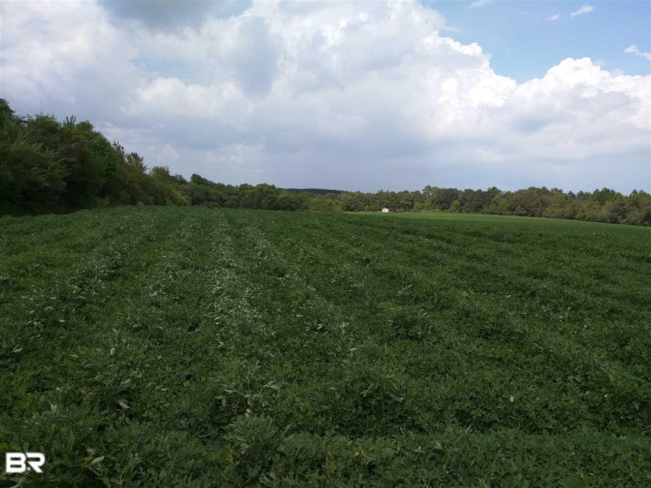 22351 County Road 68 - Photo 1