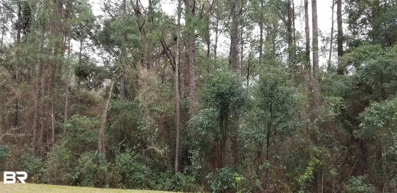 140 Buena Vista Drive - Photo 1