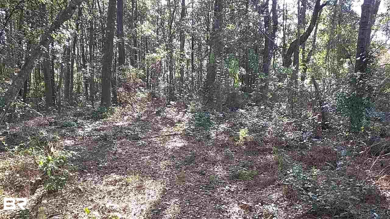 0 Battles Road - Photo 1