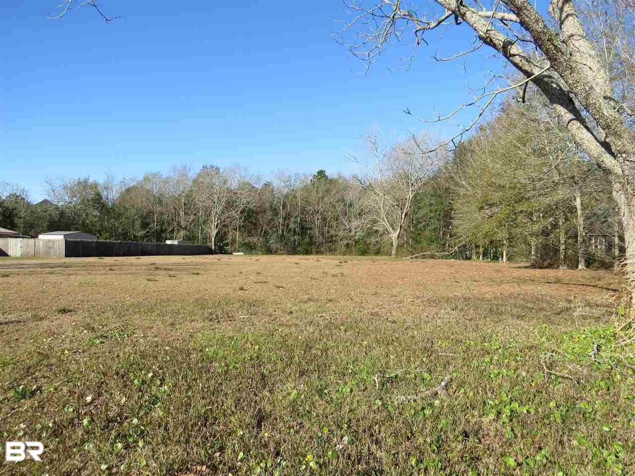 0 County Road 65 - Photo 1