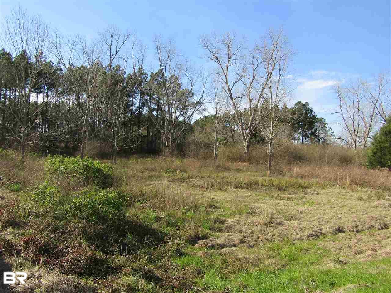 0 County Road 65 - Photo 1