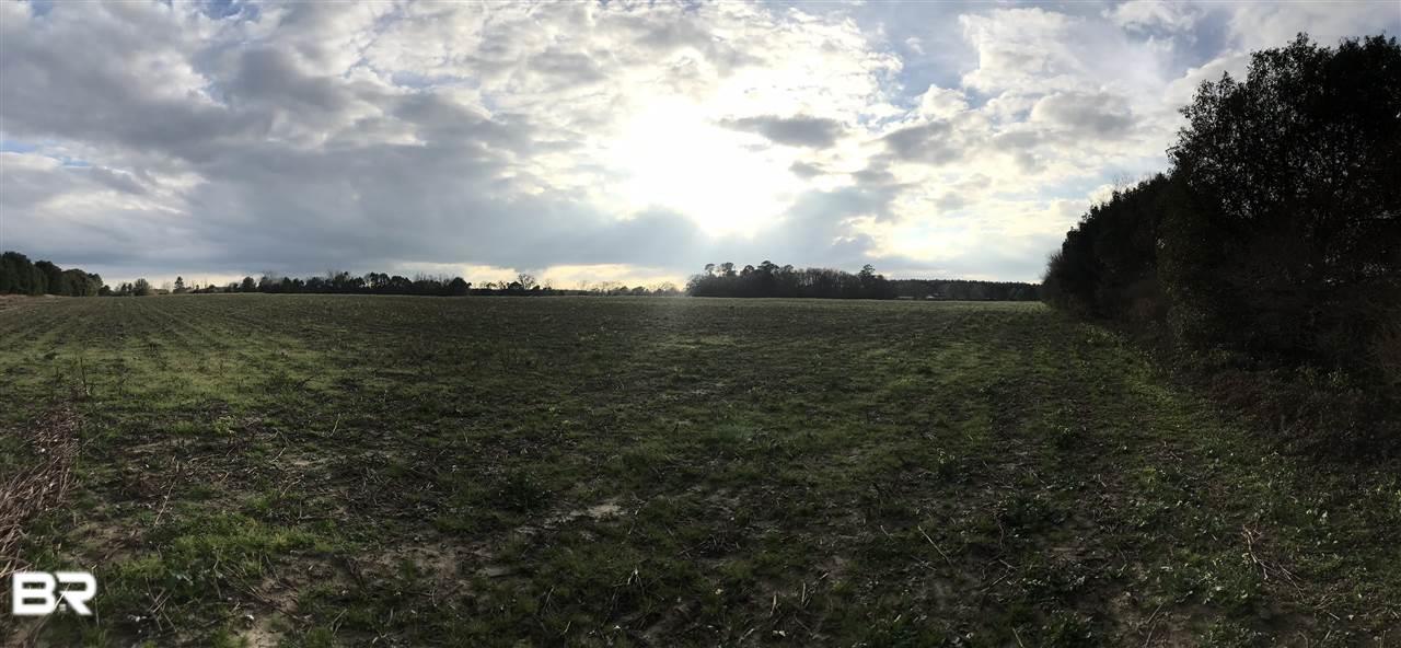 0 County Road 62 - Photo 1
