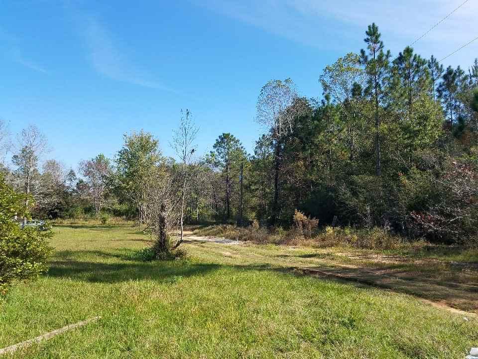 12130 Pluto Lane - Photo 1