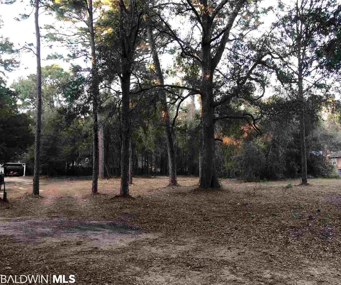 0 Deer Avenue - Photo 1