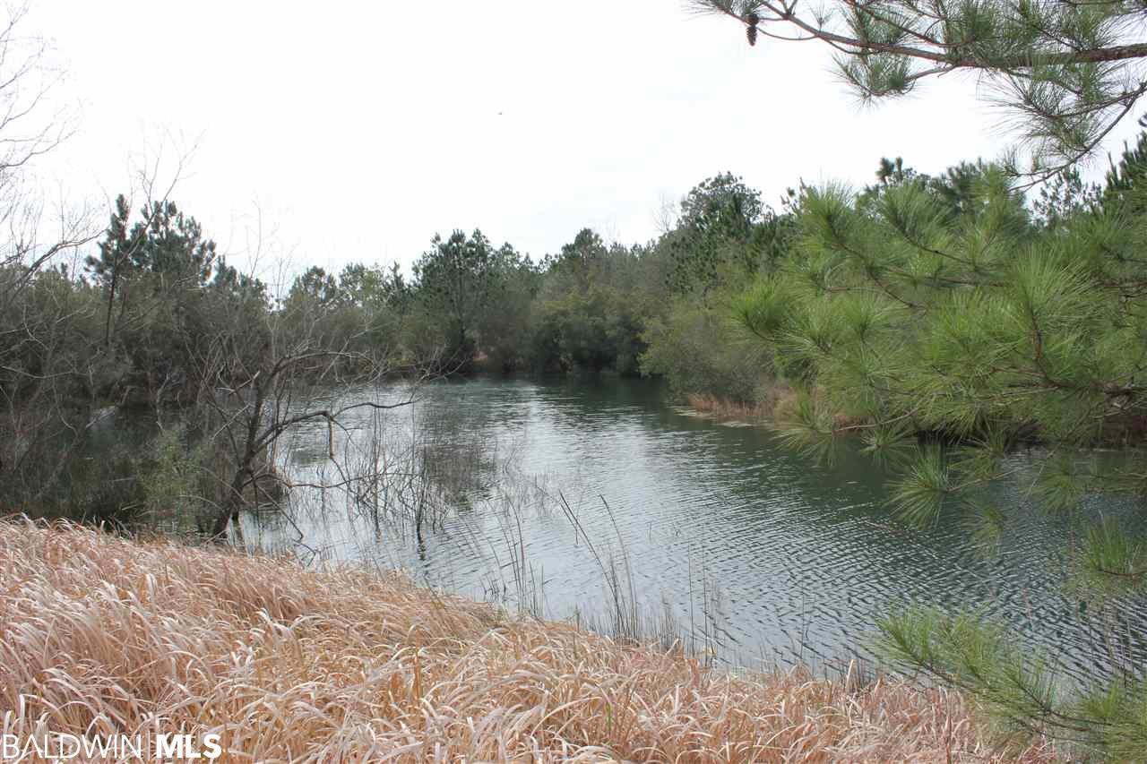 0 County Road 32 - Photo 1