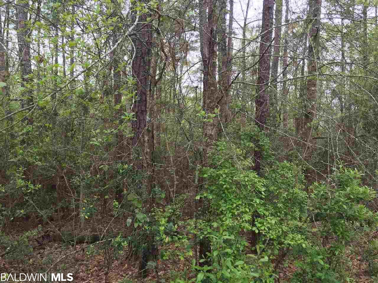 5251 Lossing Road - Photo 1