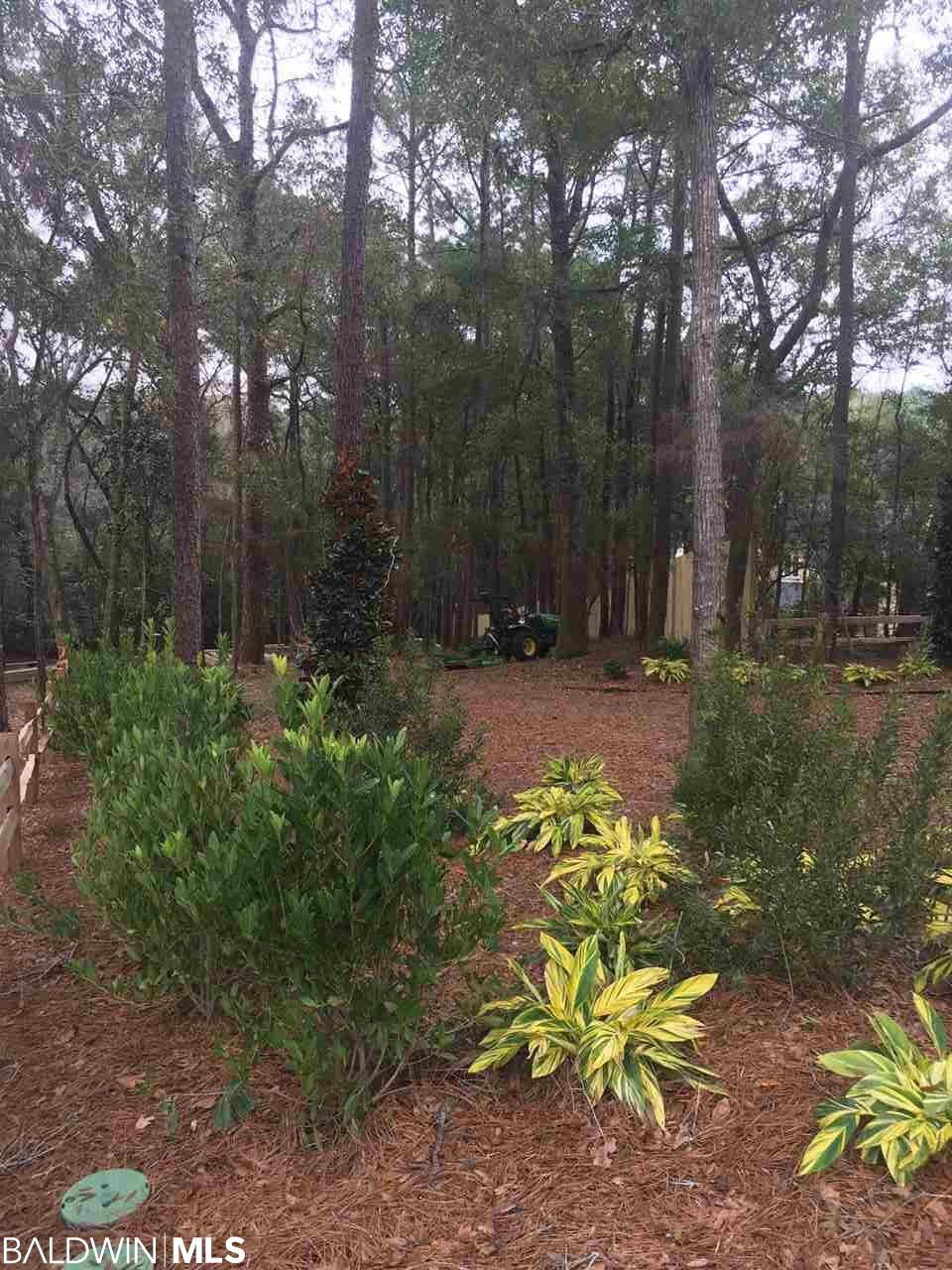 0 Pensacola Avenue - Photo 1