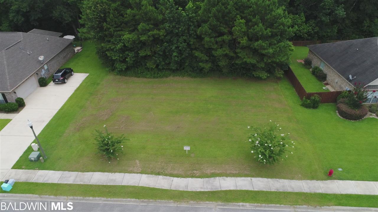 Lot 44 Creeping Willow Court - Photo 1