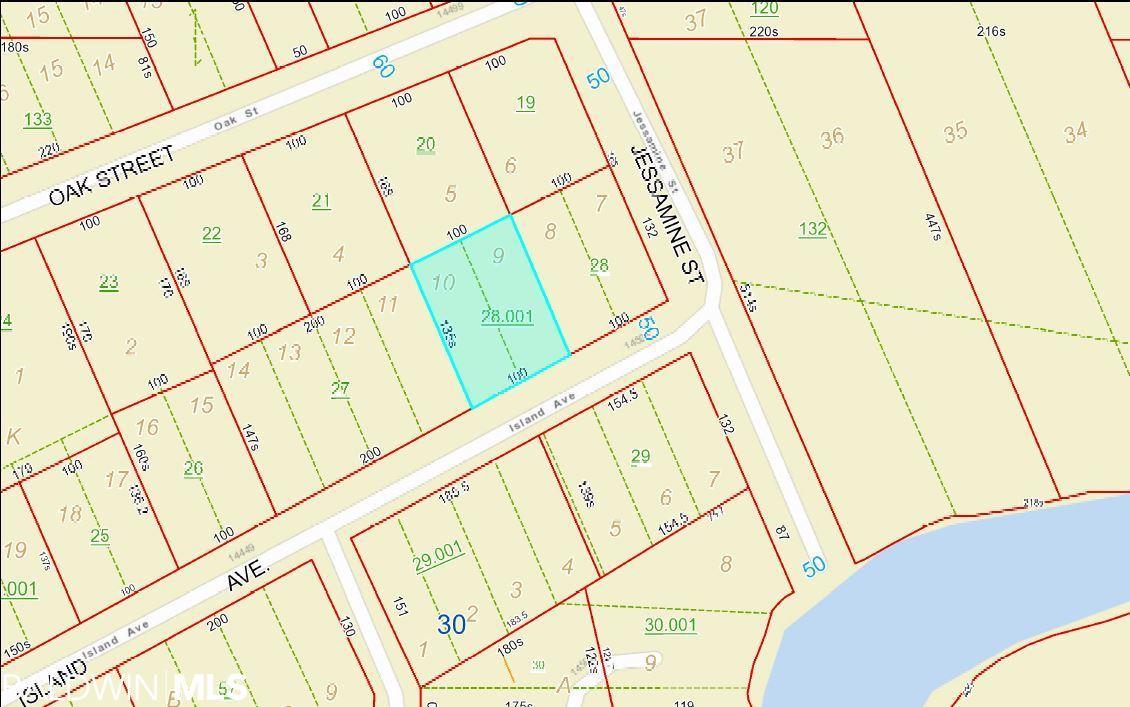 0 Island Avenue - Photo 1