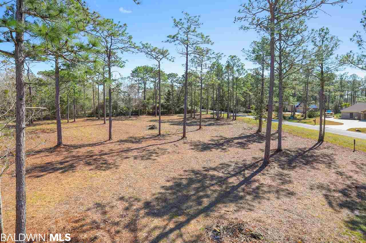 0 Forest Ln - Photo 1