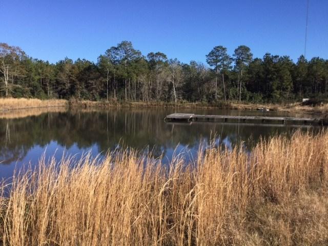 24729 County Road 87 - Photo 1