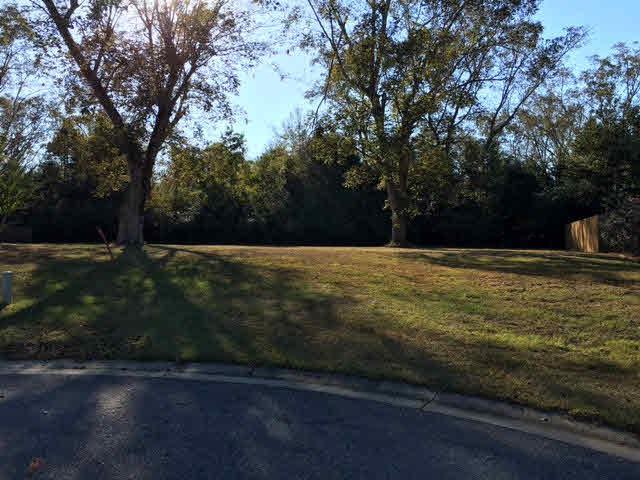 0 Pecan Ridge Blvd - Photo 1