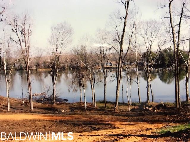 16 River View Landing Drive - Photo 1
