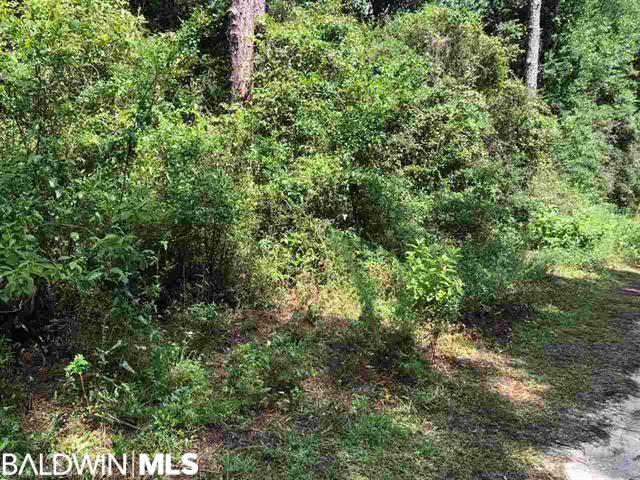 735 Bear Creek Cove - Photo 1